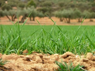 This photo depicting the beauty and "rawness" of raw land was taken by Vitin Marino of Barcelona, Spain.